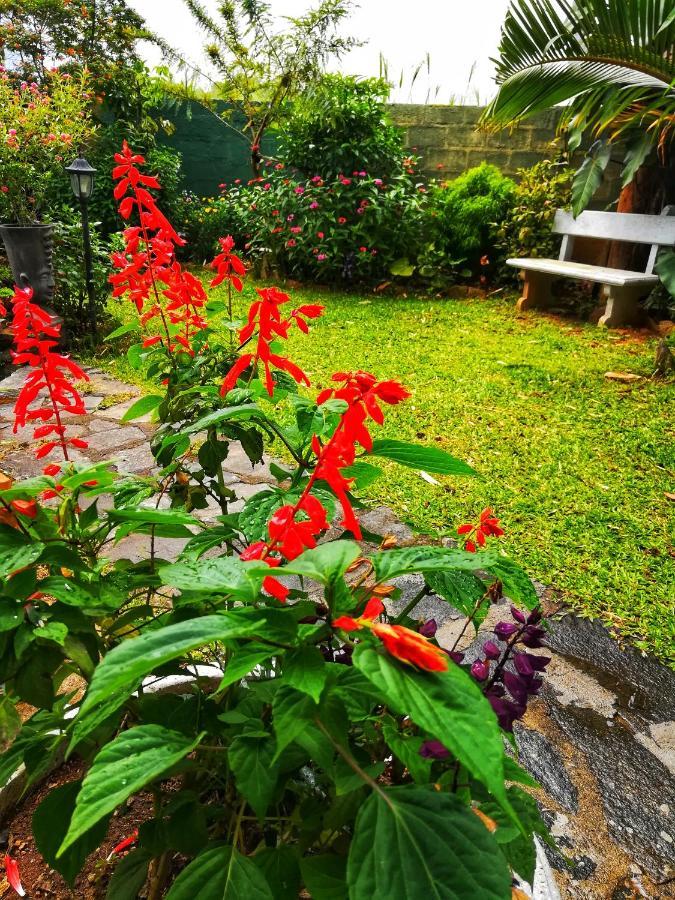 Barefoot Inn Kandy Esterno foto